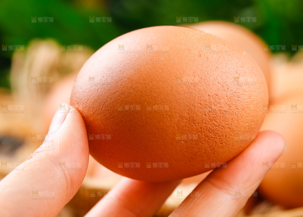 手拿土鸡蛋