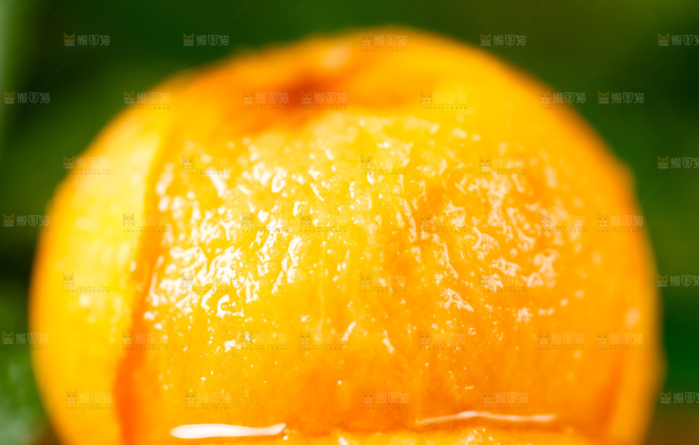木底上放着枇杷