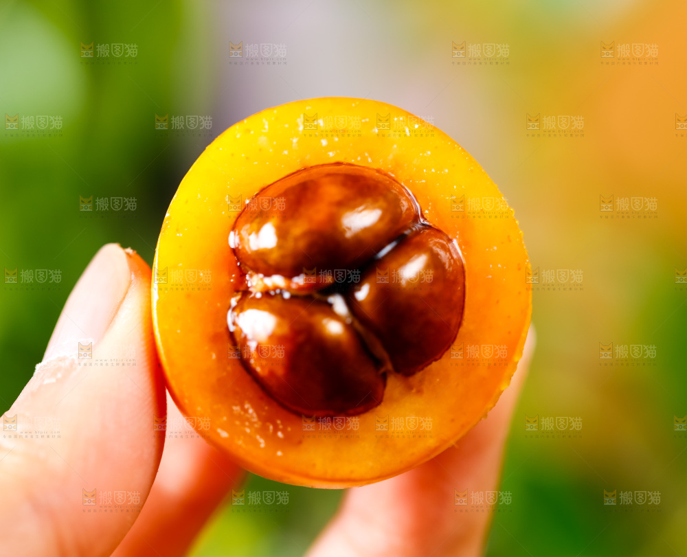 手里拿着枇杷