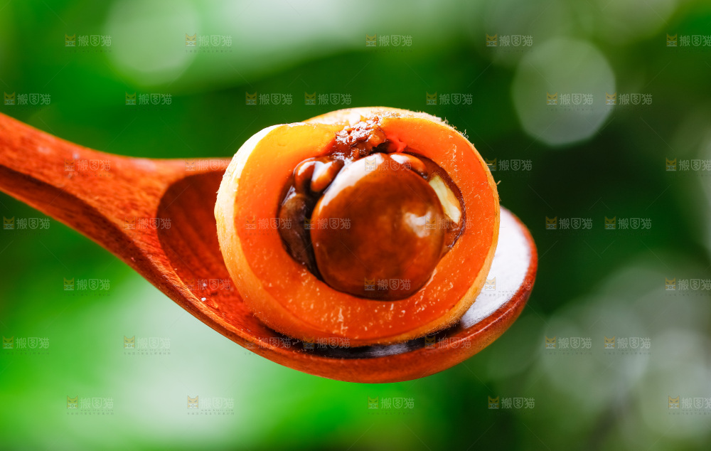 勺子上放着枇杷
