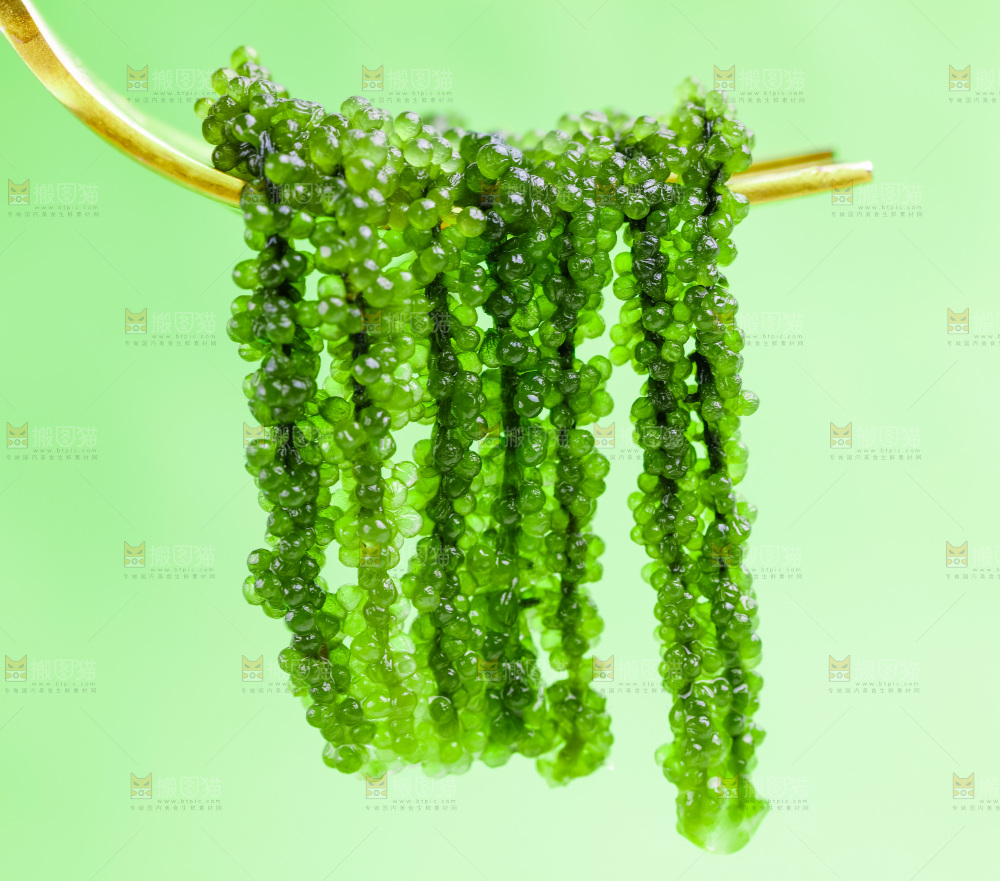叉子叉着长寿菜