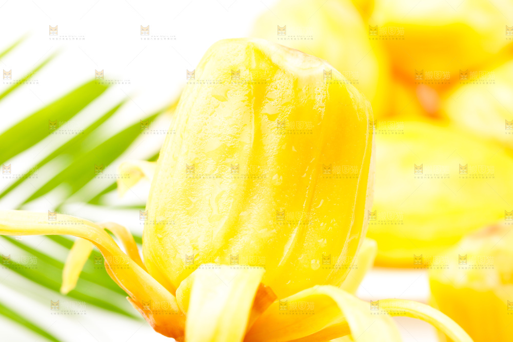 浅底上的黄肉菠萝蜜