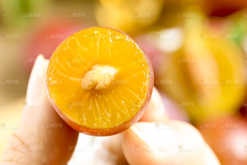 手里拿着新疆西梅