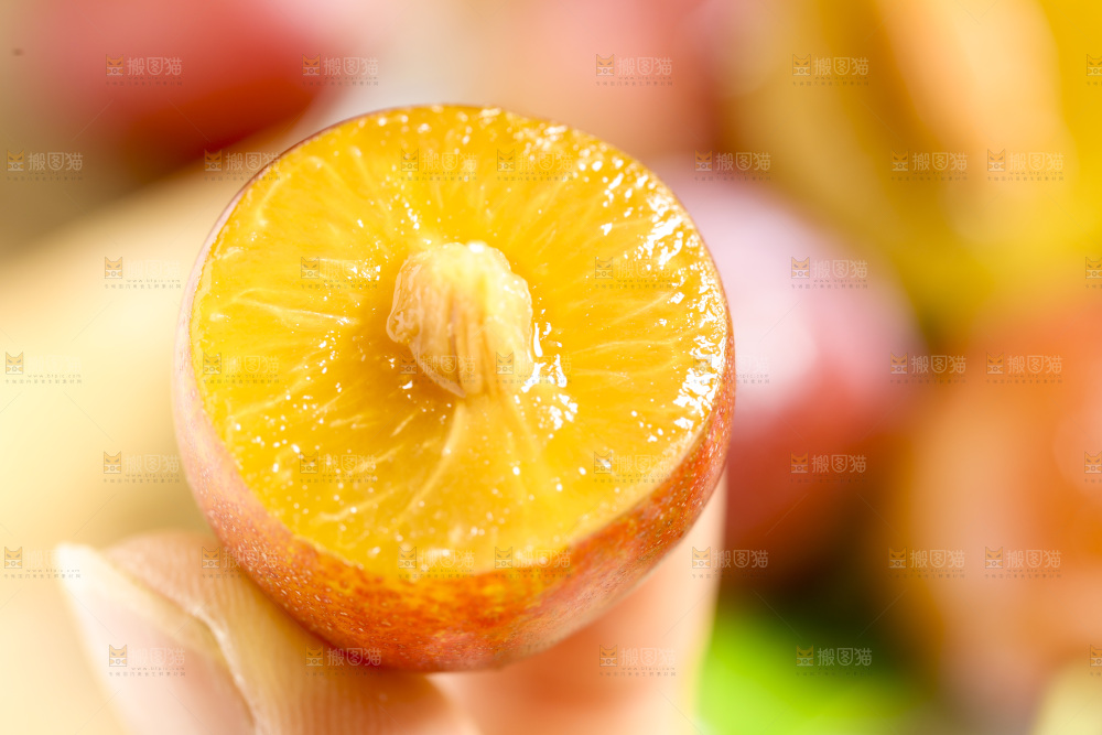 手里拿着新疆西梅