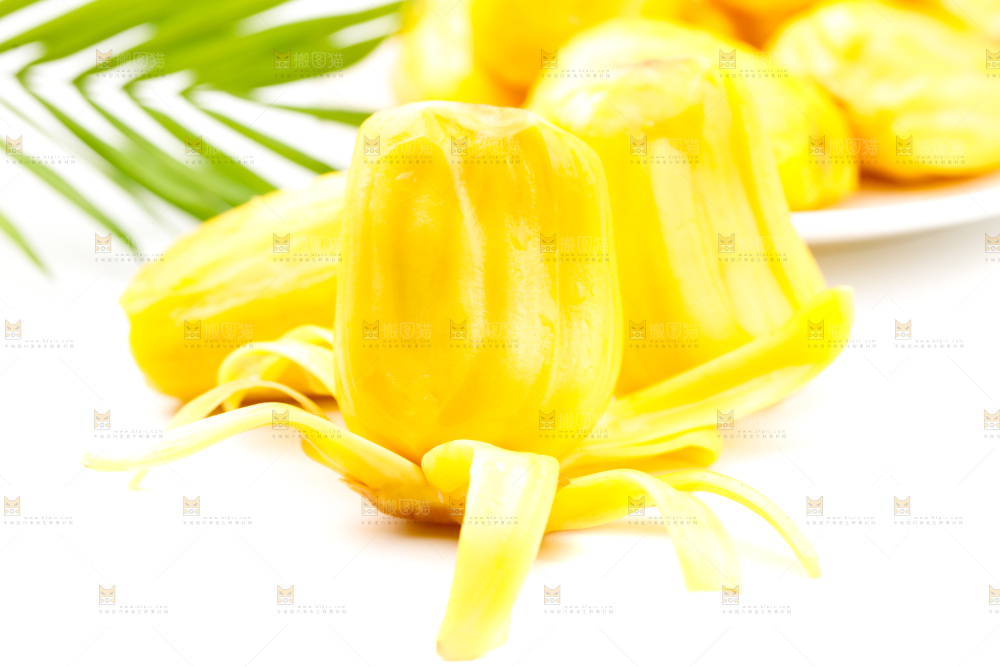 浅底上的黄肉菠萝蜜