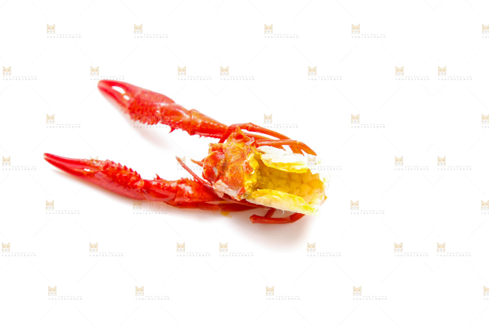 白底上的小龙虾