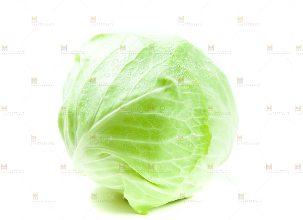 白底上的包菜