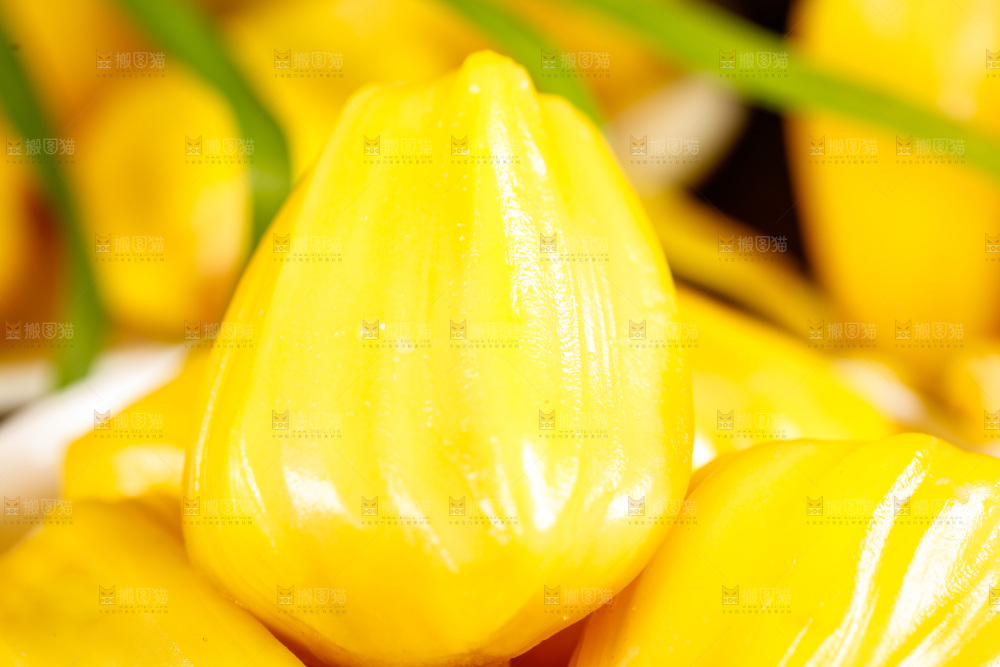 黄肉菠萝蜜