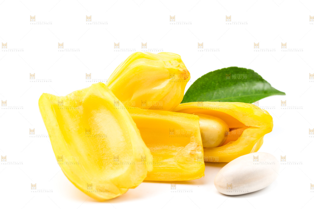 浅底上的海南菠萝蜜