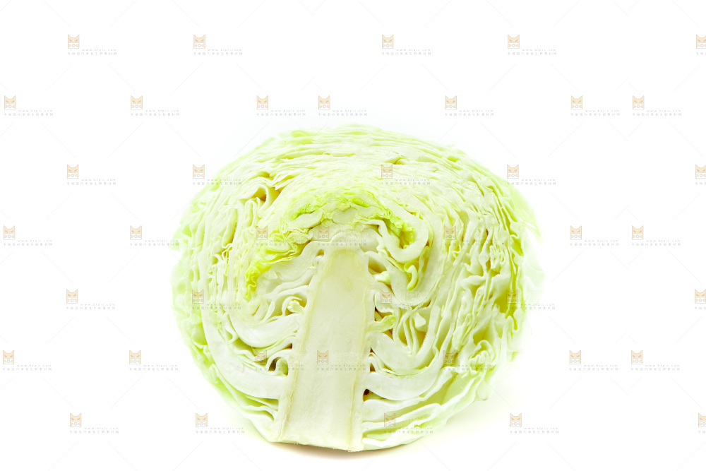 白底上的包菜