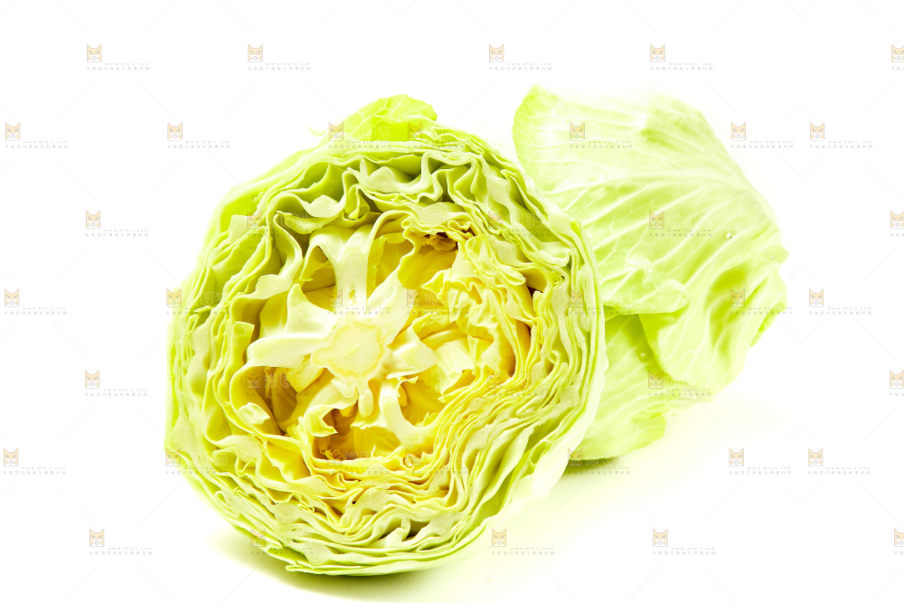 白底上的包菜