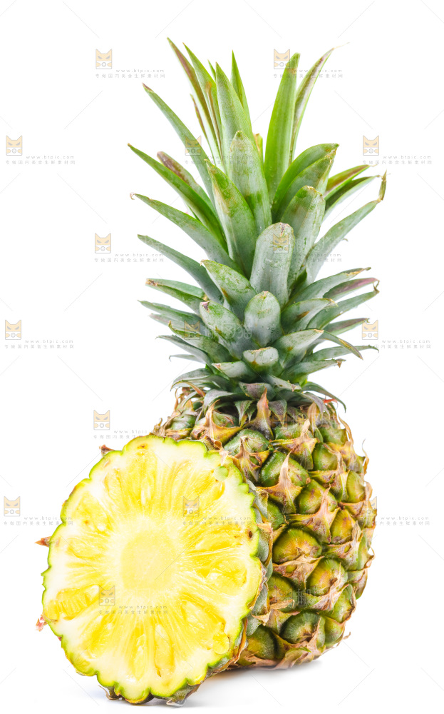 浅底上的海南凤梨