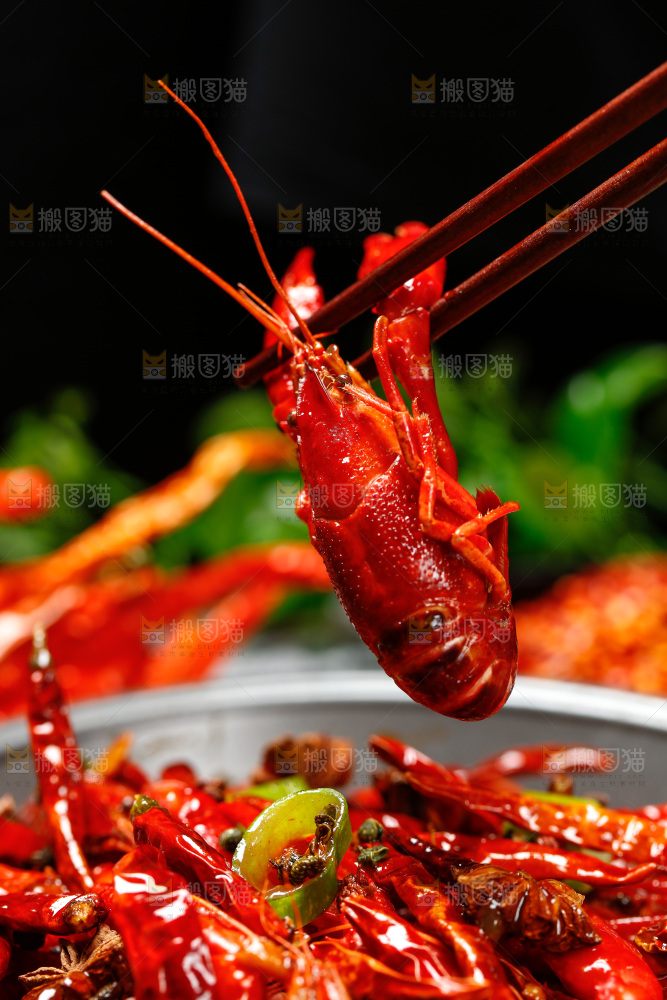 筷子上夹着小龙虾