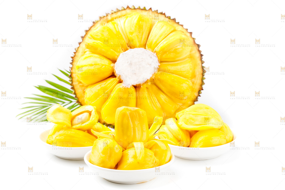 白底上的海南菠萝蜜
