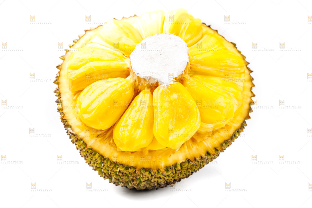 白底上的海南菠萝蜜