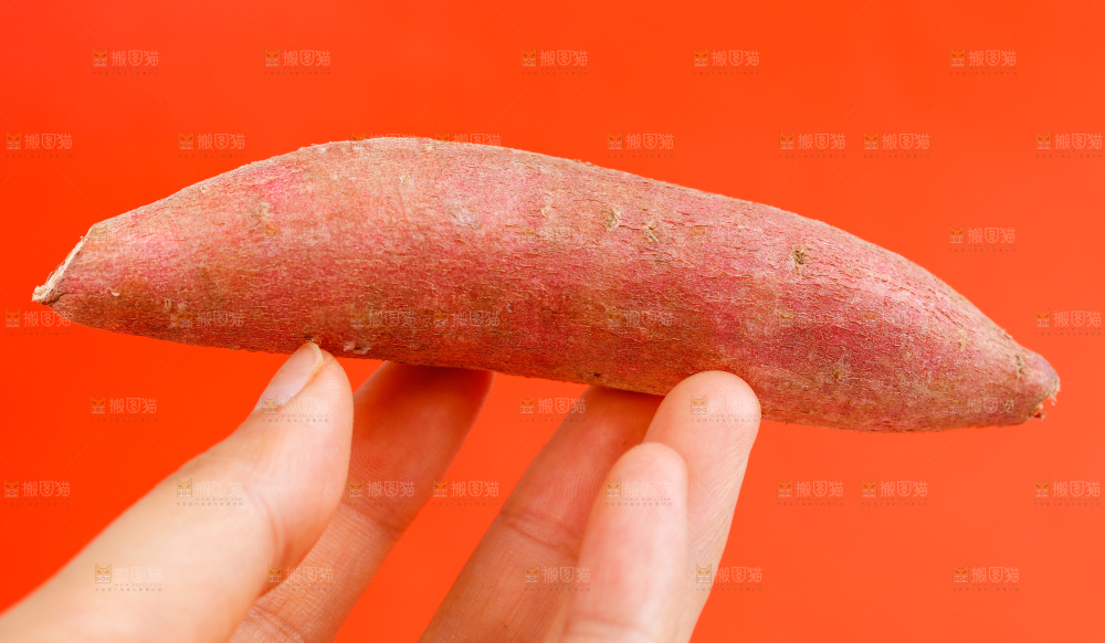 手里拿着小香薯