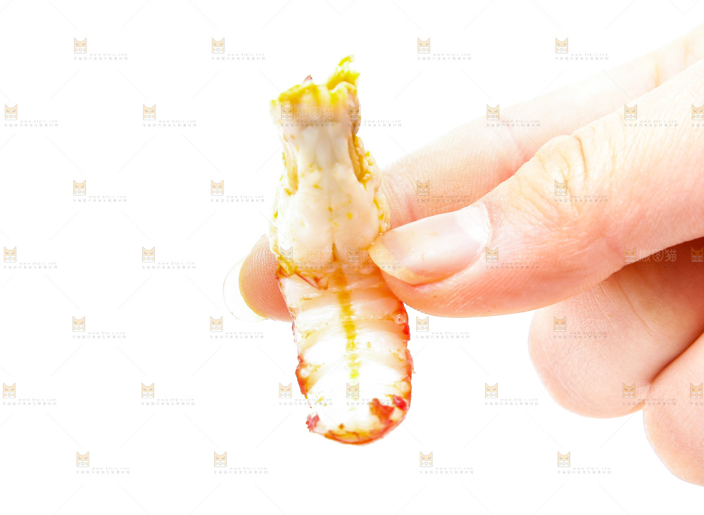 白底上的小龙虾