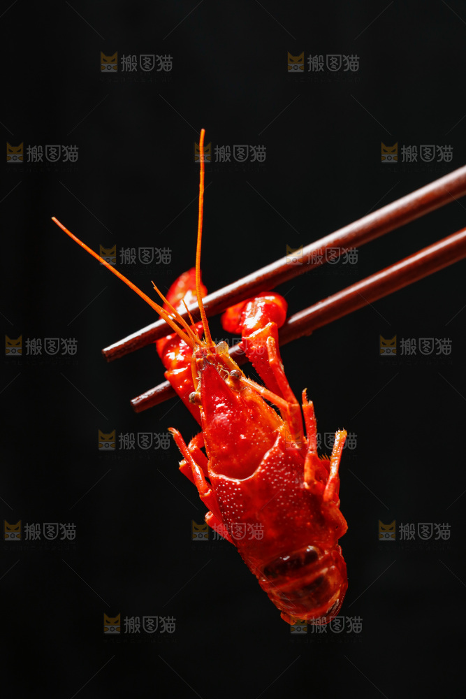 筷子上夹着小龙虾