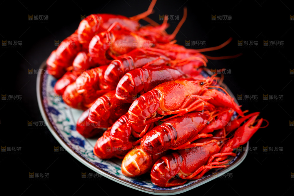 黑底上的清蒸小龙虾