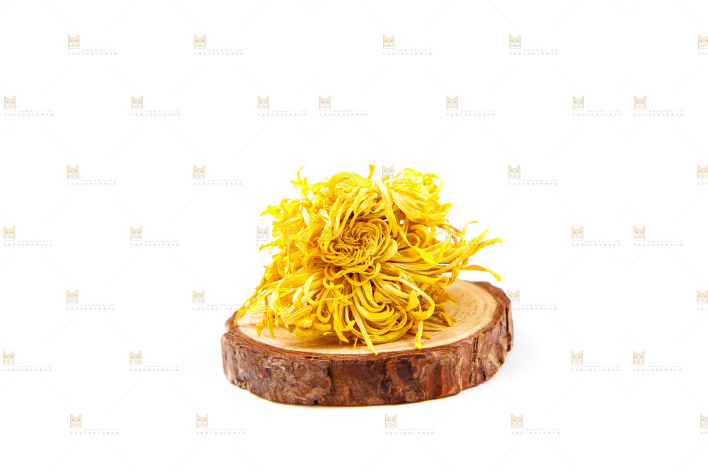 白底上的菊花