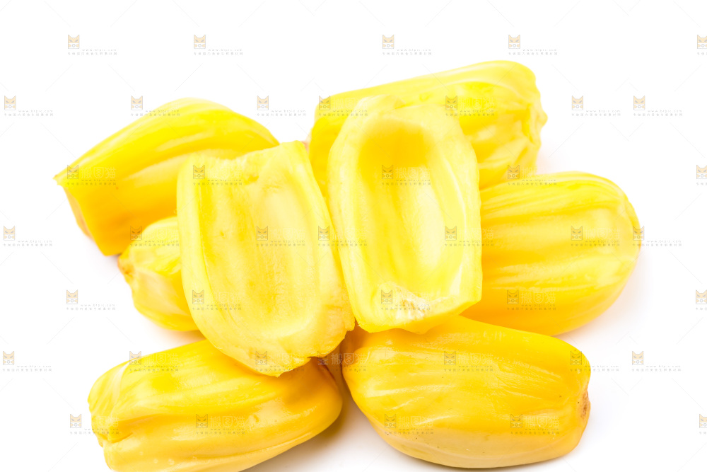 浅底上的海南菠萝蜜