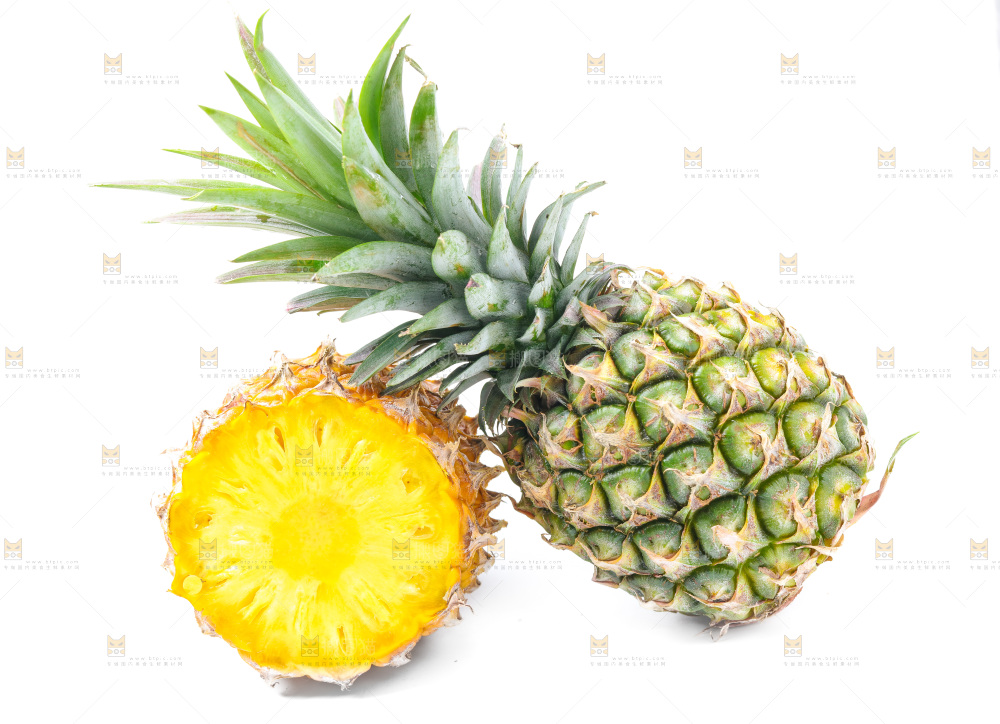 浅底上的海南凤梨