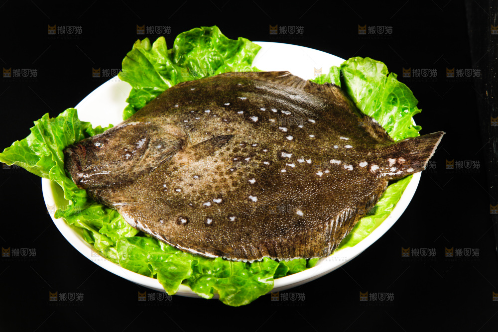 盘子里装着多宝鱼