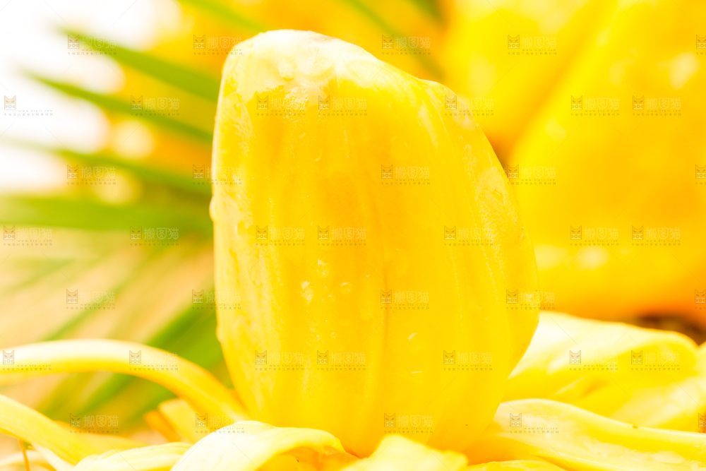 浅底上的新鲜菠萝蜜