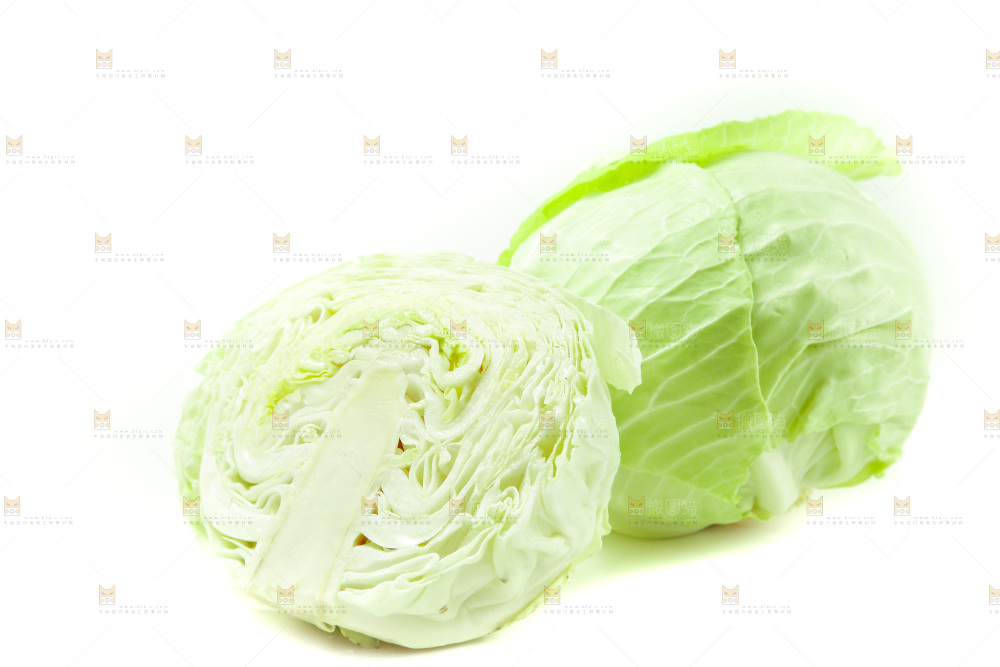 白底上的包菜