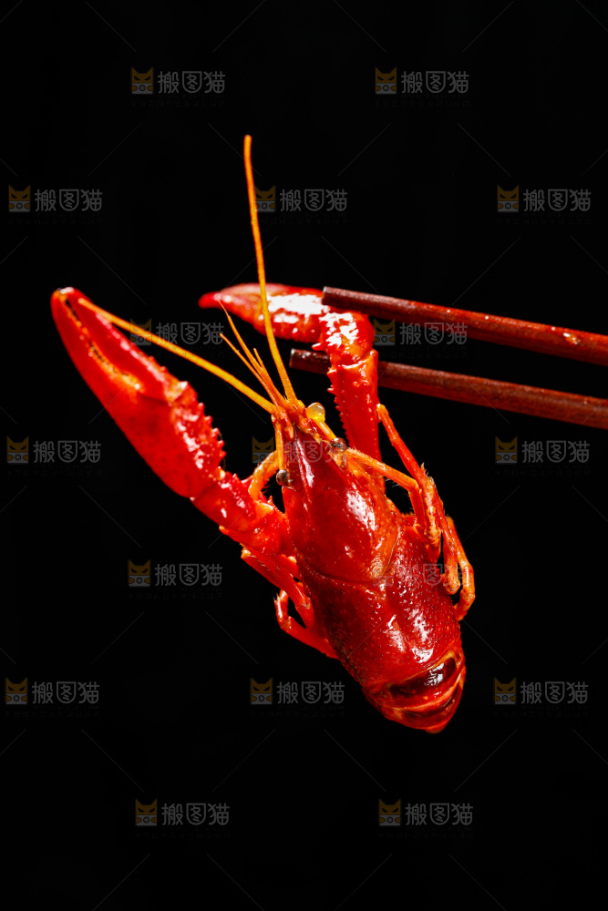 筷子上夹着小龙虾