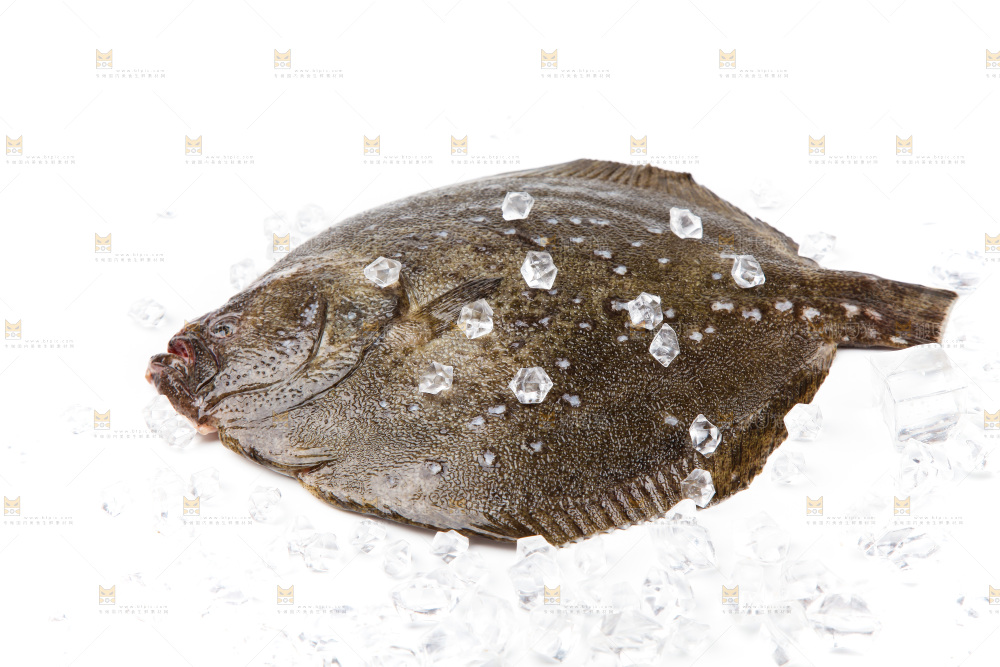 盘子里装着多宝鱼