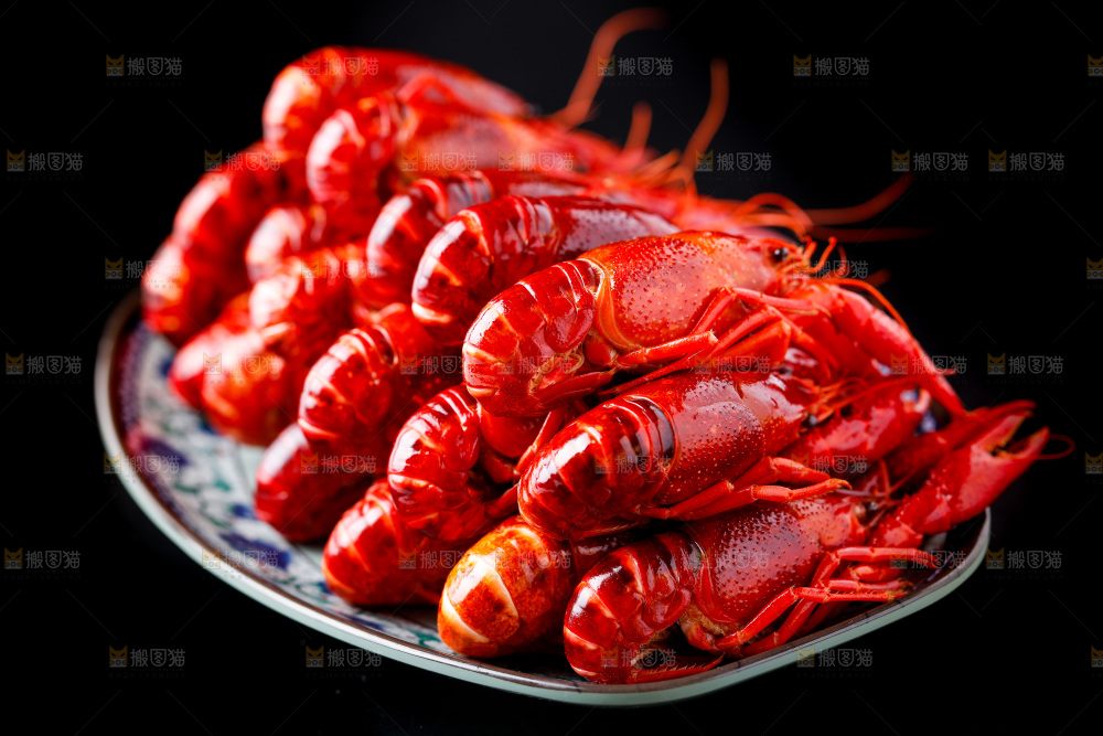 黑底上的清蒸小龙虾