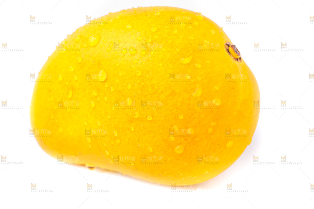 浅底上的海南小台农芒