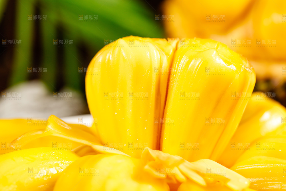 垫子上的菠萝蜜