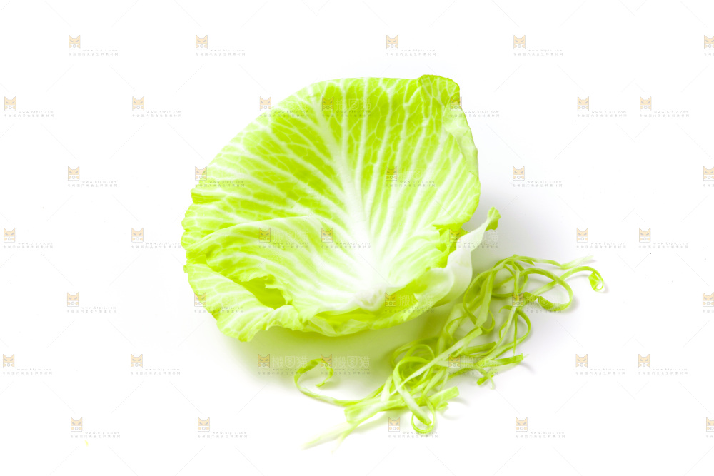 白底上的包菜