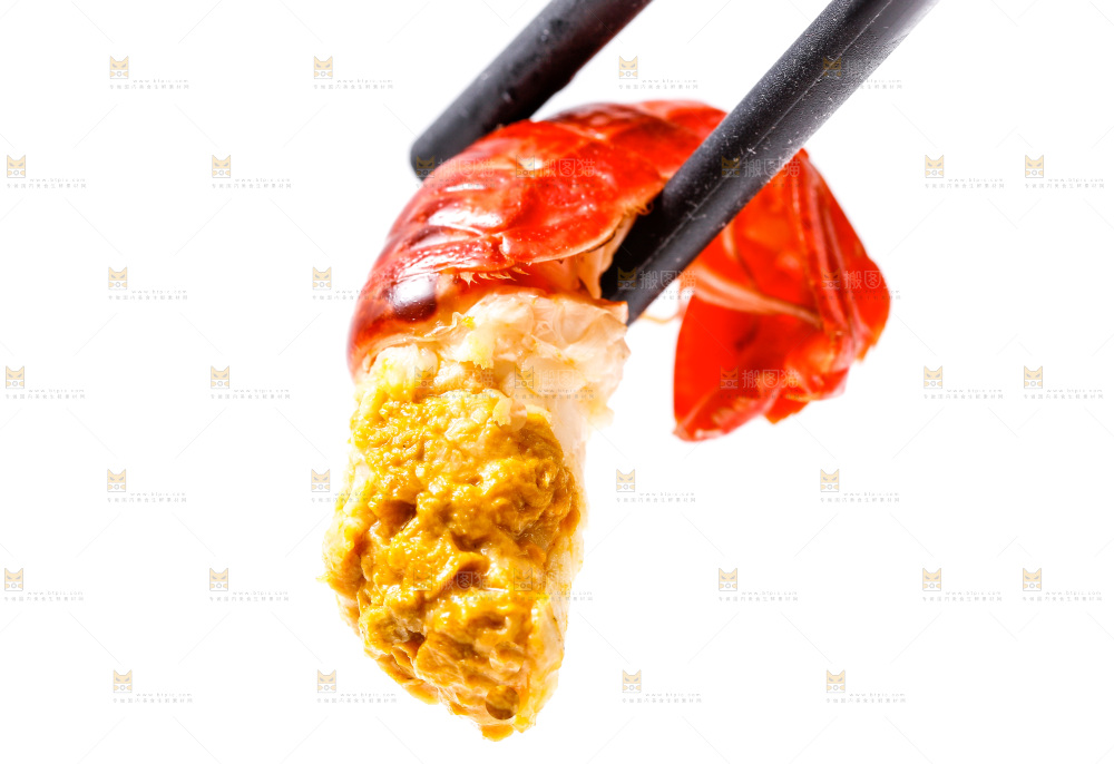 筷子上夹着龙虾尾