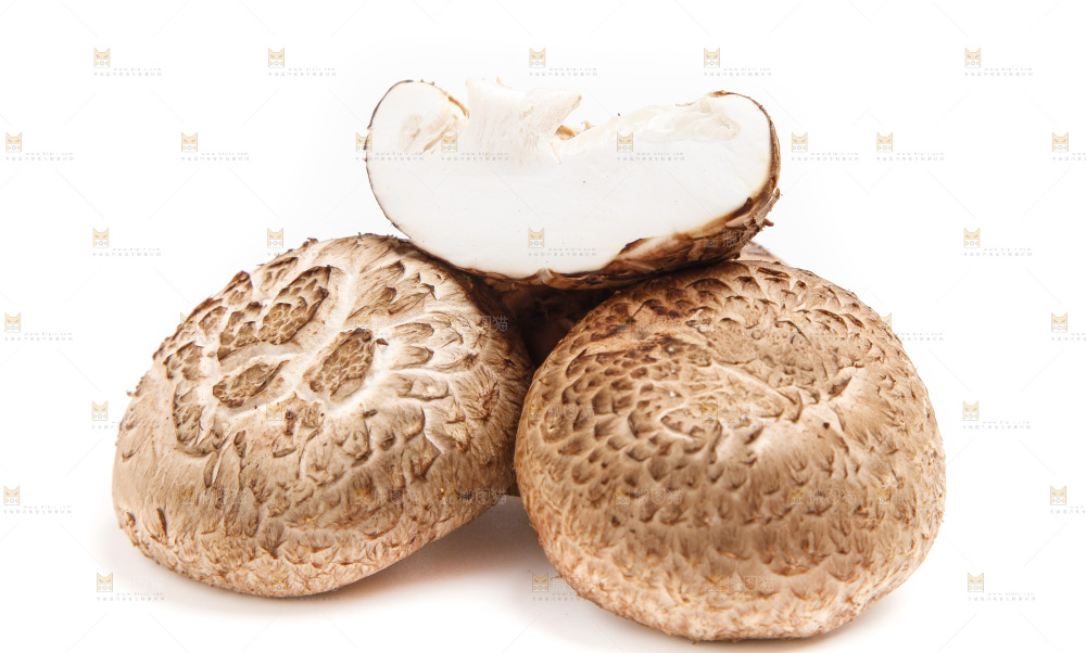 白底上放着花菇