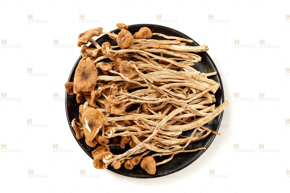 白底上的茶树菇