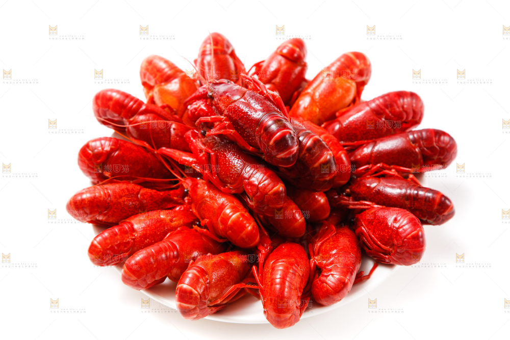盘子里的清蒸小龙虾
