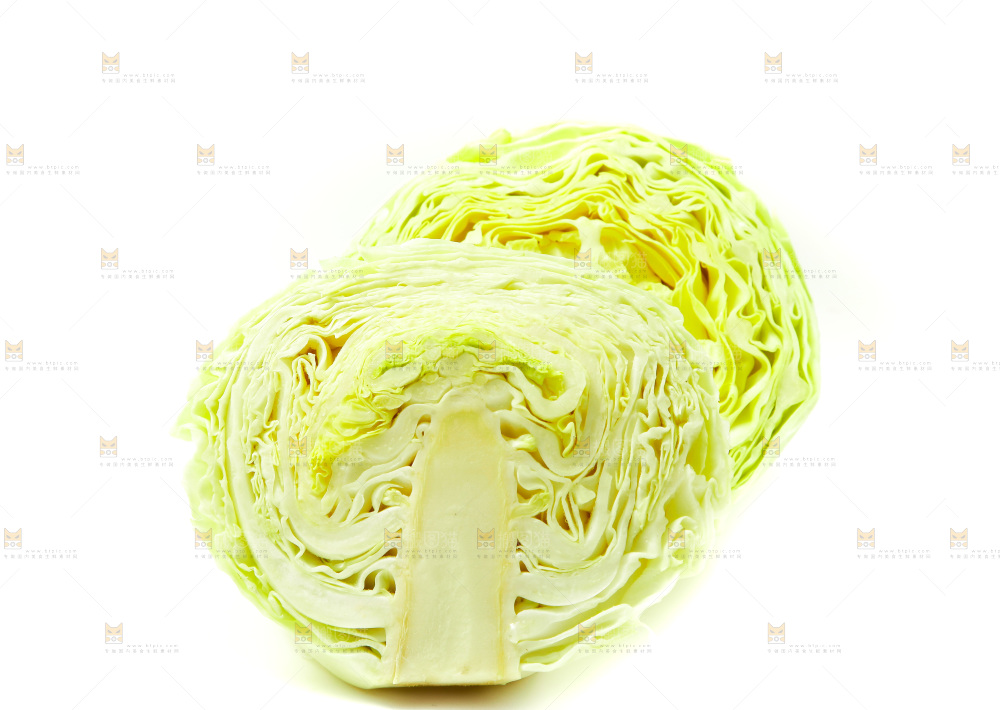 白底上的包菜