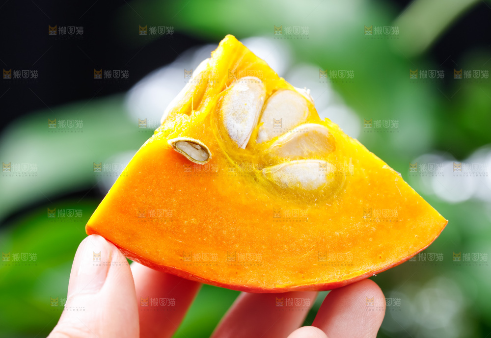 手里拿着南瓜