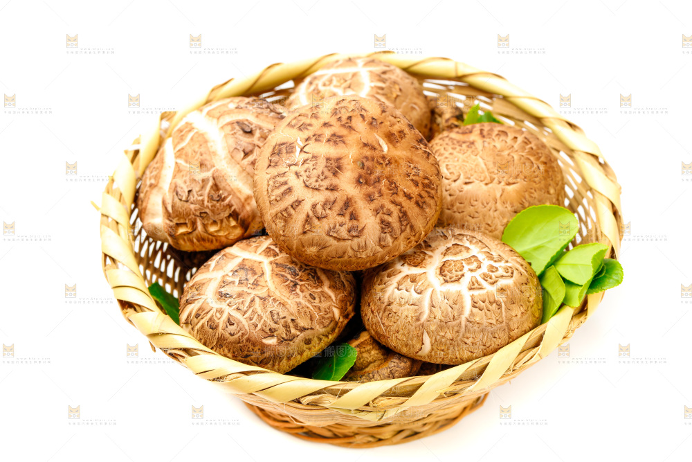 篮子里装着香菇