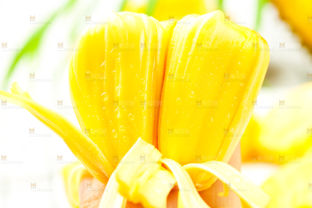 浅底上放着海南菠萝蜜