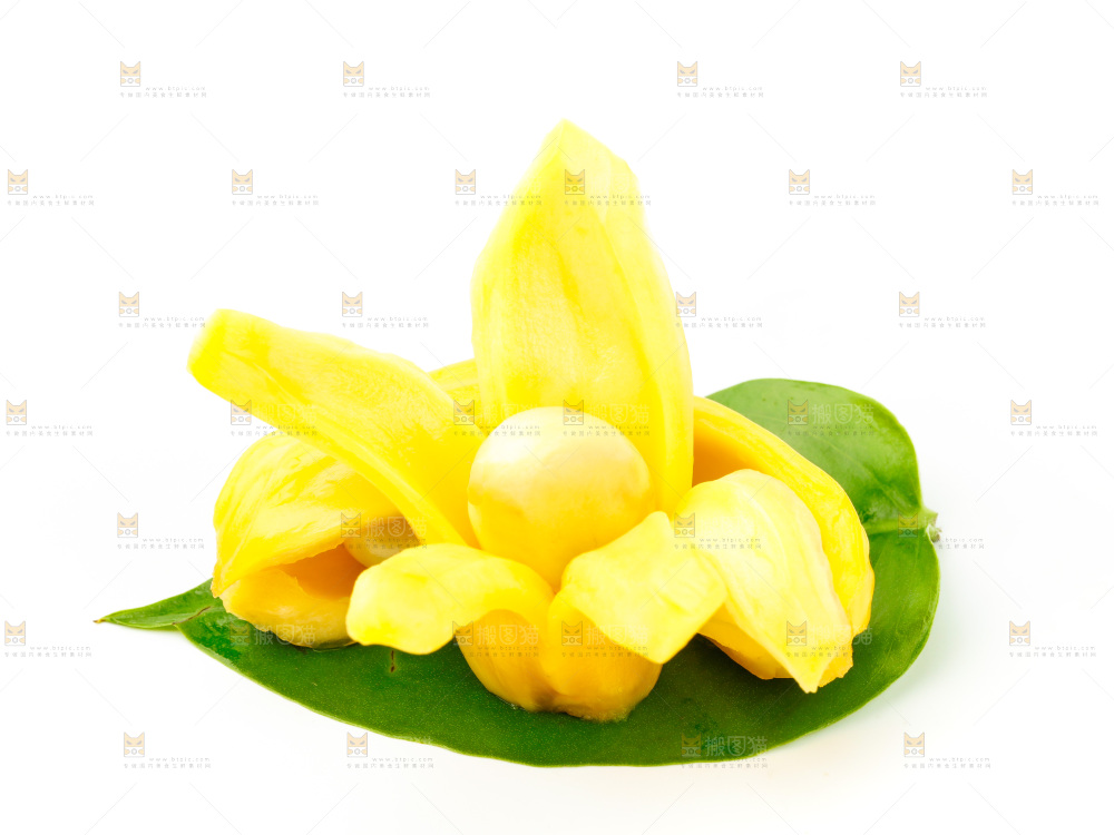 白底上放着新鲜菠萝蜜