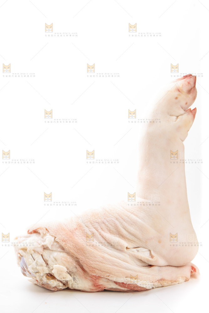 白底上的猪腿