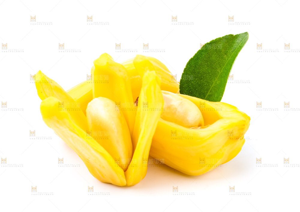 浅底上的海南菠萝蜜