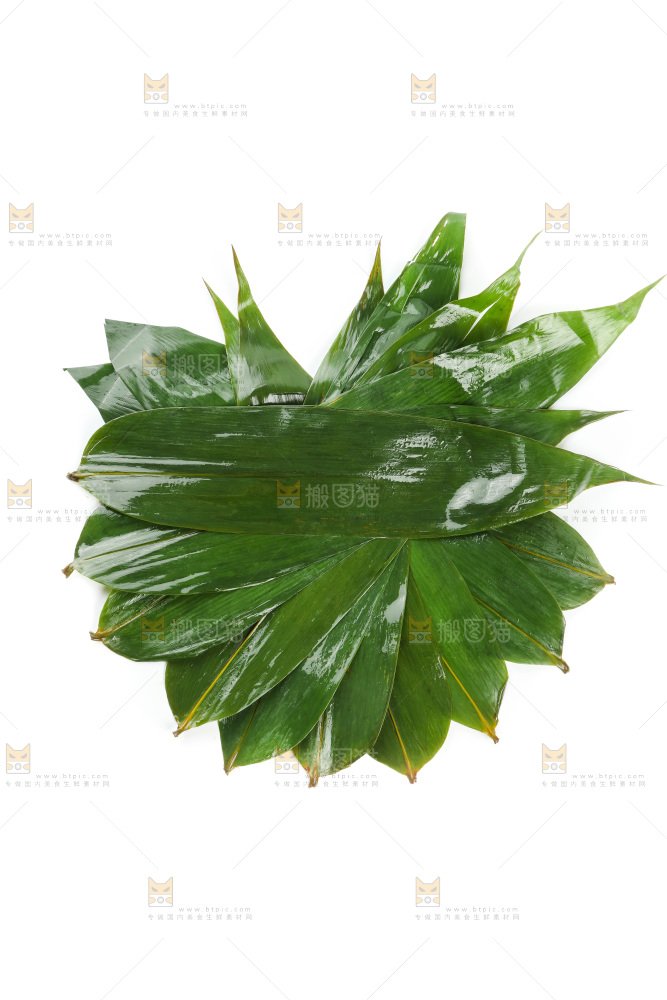 白底上的天然粽叶