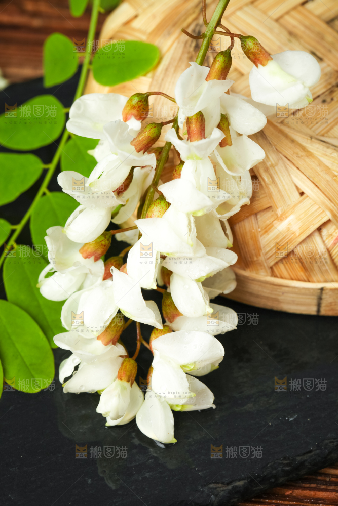 竹篮上放着新鲜槐花
