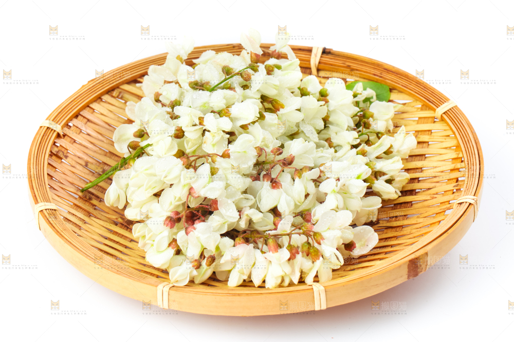 篮子里装着天然洋槐花