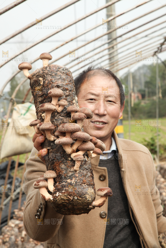 手里拿着香菇